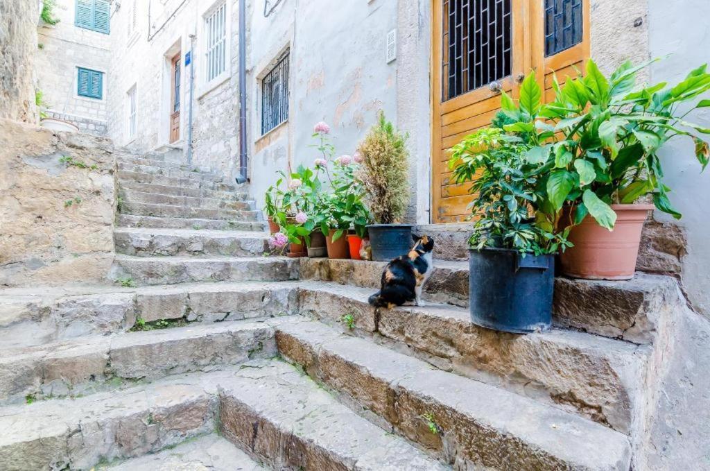 Apartment Ivona Dubrovnik